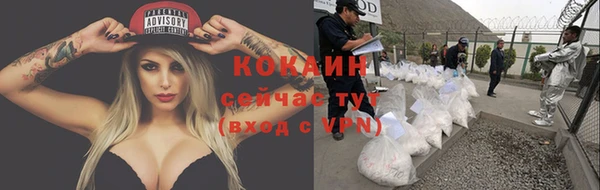 спайс Аркадак