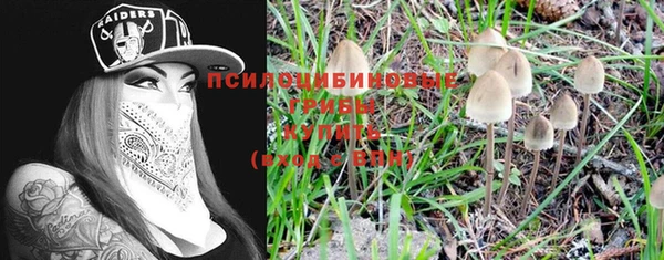 mix Армянск