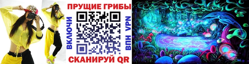 Псилоцибиновые грибы MAGIC MUSHROOMS  Купить закладки  Сертолово 